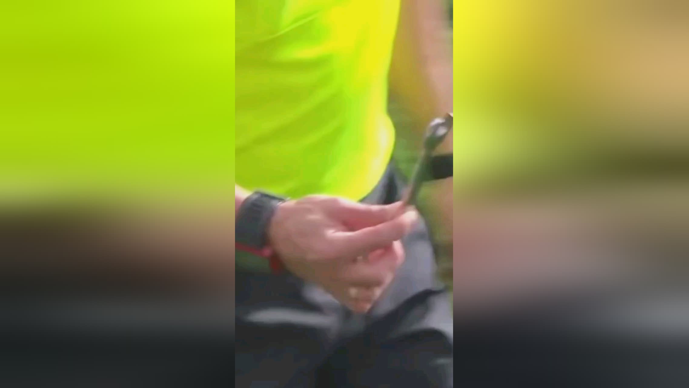 背后的
